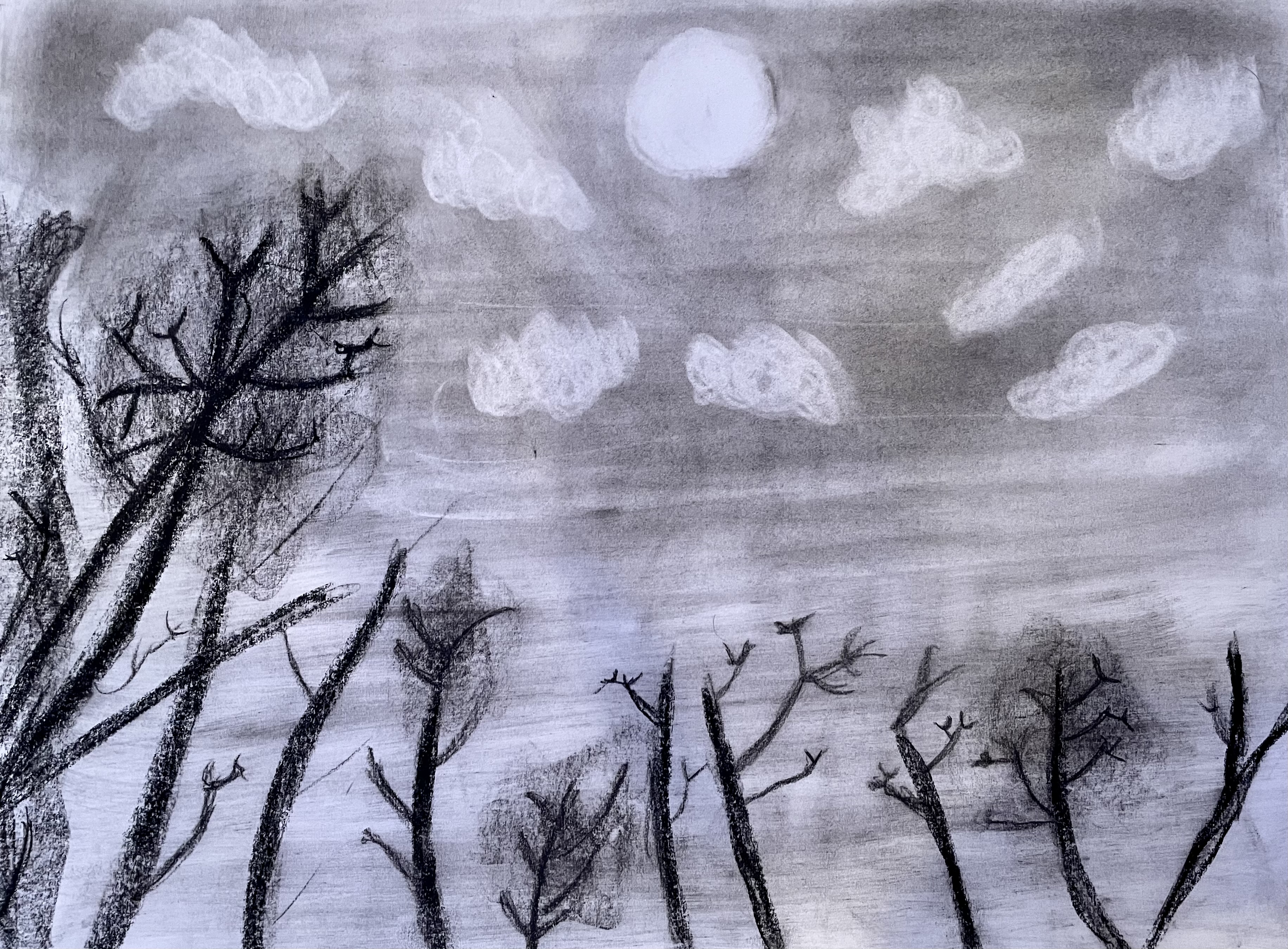 Charcoal Forest
